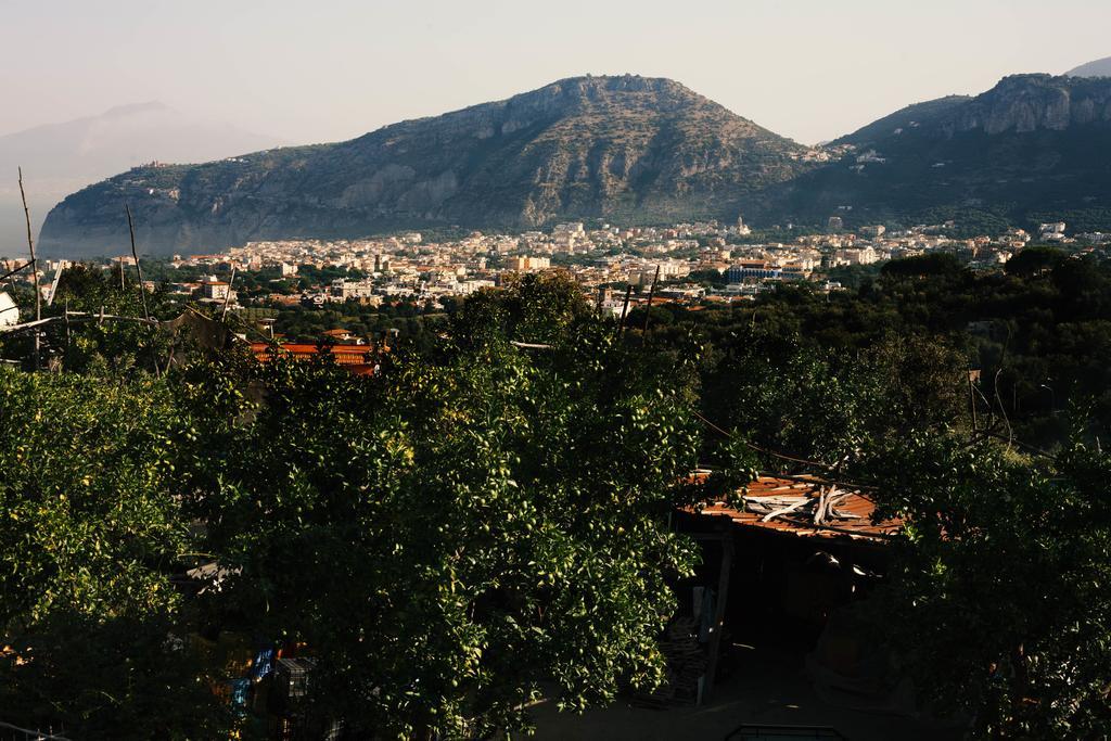 Patrizia Casa Vacanze Sant'Agnello Bilik gambar